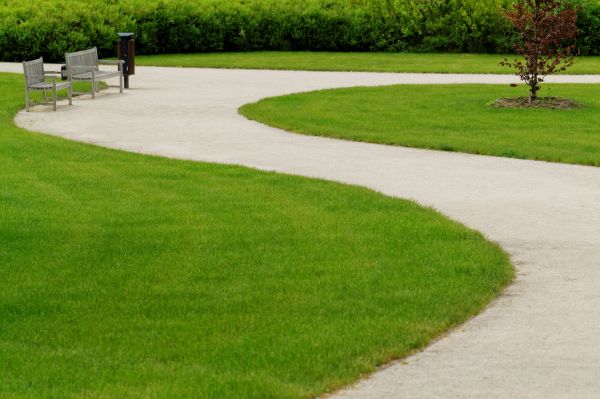 Sidewalk Concrete Service in Elmhurst