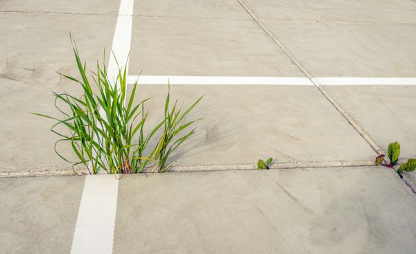 Concrete Parking Installation in Elmhurst